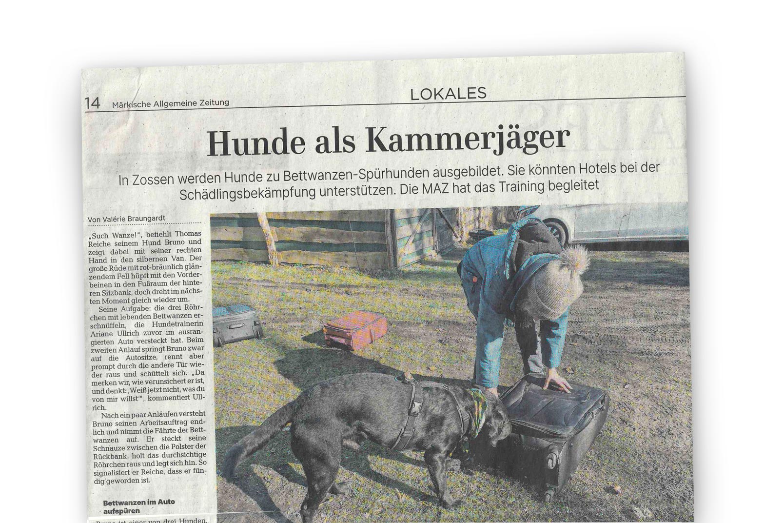 MAZ Artikel vom 11.03.26