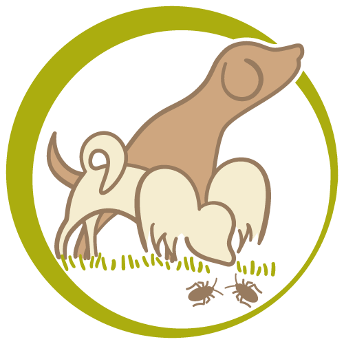 Logo Insektenspürhunde