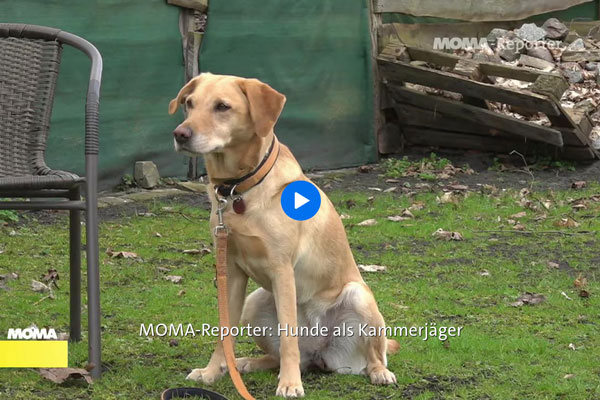 MOMA Bericht vom 08.04.26